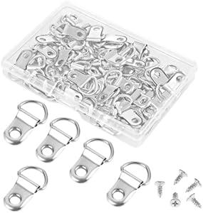 55PCS Picture Hangers Kit with Screws Heavy Duty D Rings Picture Hanging Picture Hooks Plated Wire Kit Small D-Ring Hangers Single Hole Frame Hanger for Mirror Clock Artwork Picture Frame Decoration Salbsever