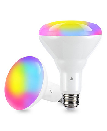 Умная лампочка с регулируемой яркостью BR30 - светодиод с регулируемой яркостью, меняющий цвет, набор из 2 шт. JONATHAN Y