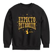 Флисовый свитшот для мальчиков Harry Potter Expecto Patronum с круглым вырезом Harry Potter