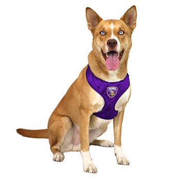 NFL Minnesota Vikings Pet Velvet Harness NFL