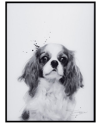 Картины домашних животных «Кинг-Чарльз-спаниель» на стекле с печатным рисунком в черной анодированной рамке, 24 x 18 x 1 дюйм Empire Art Direct