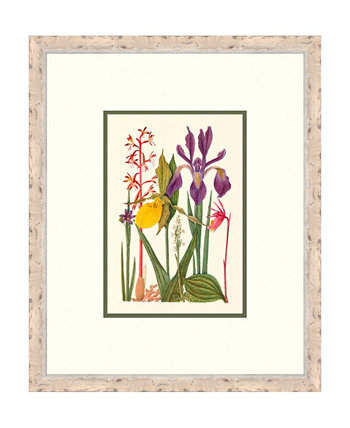 Cottage Flowers VI в рамке Giclee Wall Art - 21 "x 25" x 2 " Melissa Van Hise