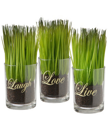 3-Piece Sprout-Filled Glass Assortment National Tree Company