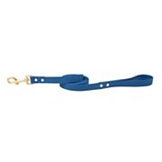 SportPet Solid Color Basic Dog Leash SportPet