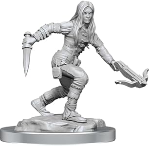 D&D Nolzur's Marvelous Miniatures: Half-Elf Rogue Female WizKids