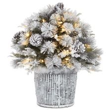 National Tree Company 22-in. Pre-Lit Feel Real® Snowy Chiwaw Basin Artificial Christmas Tree National Tree Company
