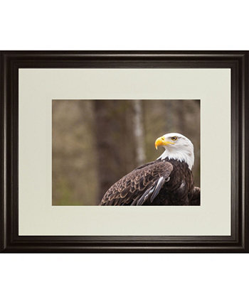 Величественный орел, авторство Гэри Тога, настенное искусство с двойным матовым принтом в рамке - 34 "x 40" Classy Art