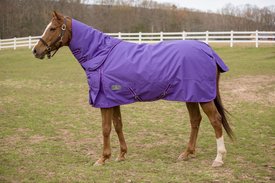 TuffRider 600 D Comfy Winter Medium Weight Combo Neck Horse Turnout Blanket TuffRider