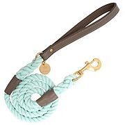 Pet Dog 5ft Long Leash PoisePup