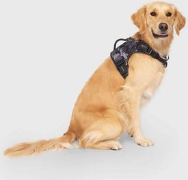 Canada Pooch Complete Control Dog Harness Canada Pooch