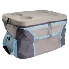 45 Can Capacity Insulated Collapsible Cooler Bag Lexi Home