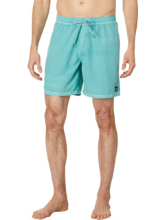 17-дюймовые волейбольные шорты Surfwash на каждый день Quiksilver