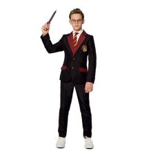 Комплект костюма «Гарри Поттер Гриффиндор» для мальчиков 4–16 лет на Хэллоуин Suitmeister