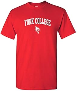 NCAA Arch Logo - NCAA Sports Team Color T Shirt UGP Campus Apparel