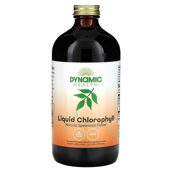 Жидкий хлорофилл, натуральная мята, 16 жидких унций (473 мл) Dynamic Health