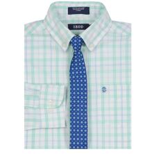 Комплект из рубашки и галстука в клетку стрейч IZOD для мальчиков 4–20 лет IZOD