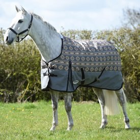 WeatherBeeta ComFiTec Essential Standard Neck Medium Horse Turnout Weatherbeeta