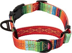 Leash Boss Patterned Fabric Martingale Dog Collar Leash Boss