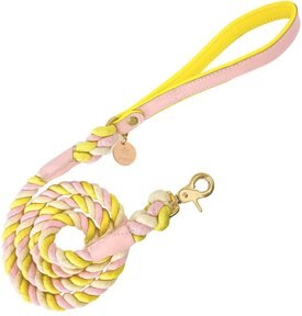 PoisePup Sweetest Thing Leather Handle Rope Dog Leash, Light Pink/Yellow, 5-ft long, 1/2-in wide PoisePup