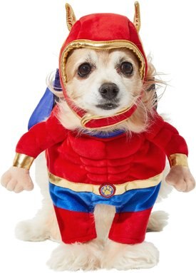 Frisco Front Walking Superhero Dog & Cat Costume Frisco