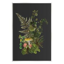 Stupell Home Decor Forest Herbs Sprouting Nature Canvas Wall Art Stupell Home Decor