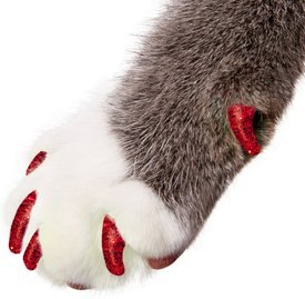 Purrdy Paws Soft Cat Nail Caps Purrdy Paws