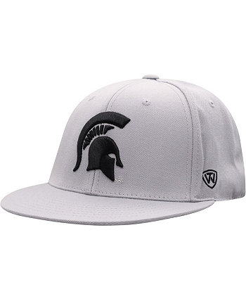 Men's Gray Michigan State Spartans Fitted Hat Top of the World