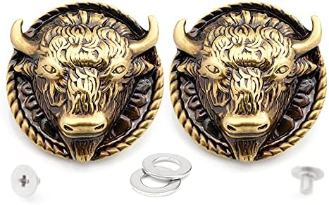 CRAFTMEMORE 1 Inch Buffalo Concho Bison Bull Screw Back Concho Gaur Rodeo Indian Cowboy Leathercraft Embellishment CHS46 (Bronze) CRAFTMEMORE