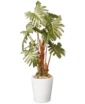 21 Garden Accents Philodendron Flower National Tree Company