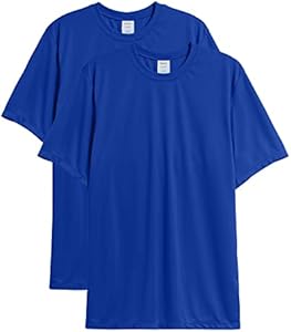 Hanes Men’s T-Shirt Pack, Cool Dri Moisture-wicking Performance Tee, Performance Athletic T-Shirt, 2-pack Hanes