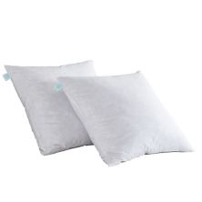 Martha Stewart Medium Firm 2-Pack Feather Euro Pillow Inserts Martha Stewart