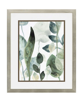 Картины в рамке Paragon Water Leaves III, 34 "x 28" Pukka