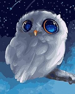 LukFun Paint by Number Kit for Children, Owl Paint by Numbers for Adults, 16 x 20 inch (Cute Owl, Without Frame) LukFun