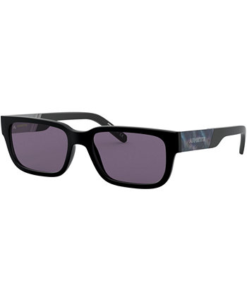 Мужские солнцезащитные очки, AN4273 Arnette