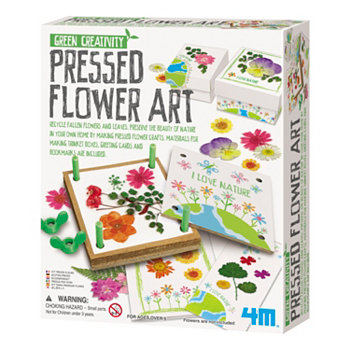 Зеленый Творческий Набор Прессованного Цветочного Искусства 4M