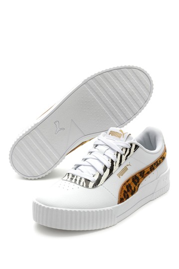 puma carina leopard