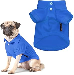 Parisian Pet Dog Polo Shirts - Breathable Dog Cotton Shirt - Solid Blue Color, Summer Pullover Dog Clothes - Button Up Collar Dog Polo Shirt for Small Dogs XS Parisian Pet