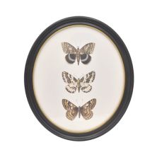 Belle Maison Oval Resin Butterfly Framed Wall Art Belle Maison