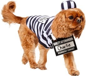 Frisco Prisoner Dog & Cat Costume Frisco