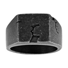Мужское кольцо-печатка из нержавеющей стали с ионным покрытием черного цвета в деревенском стиле Unbranded