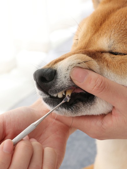 1шт Инструменты для уборки для домашних животных с двумя головками зуб SHEIN