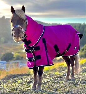 Star Point Horsemanship Mini-Pony 100 Gram Lightweight Waterproof Hooded Horse Blanket Star Point Horsemanship