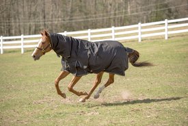 TuffRider 600 D Comfy Winter Medium Weight Combo Neck Horse Turnout Blanket TuffRider