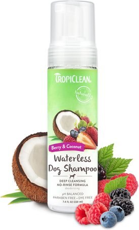 TropiClean Dry No Rinse Waterless Deep Cleaning Dog Shampoo, Berry Fresh Scent TropiClean