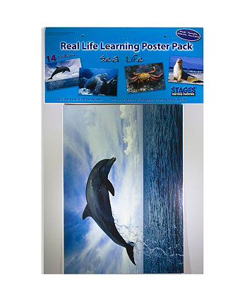Real Photo Sea Life Набор плакатов Stages Learning Materials