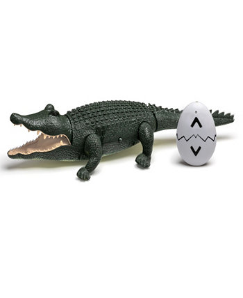 Игрушечный крокодил с дистанционным управлением Discovery Kids
