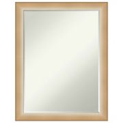 Eva Narrow Petite Bevel Bathroom Wall Mirror Amanti Home