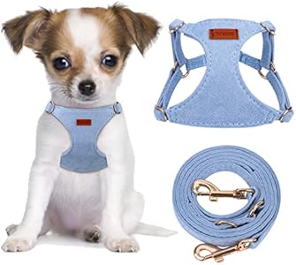 CHEDE No Pull Puppy Harness and Multifunction Dog Leash Set- 8 Colors Soft Adjustable No Choke Escape Proof Cute,Lightweight Pet Vest Harness for Small and Medium Dog (XS, Antique Pink) Chede