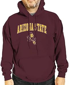 Campus Colors Long Sleeves NCAA Adult Arch & Logo Gameday Unisex Hooded Sweatshirt Campus Colors