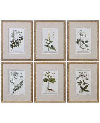 Настенная живопись с зелеными растениями, ботанический этюд, набор из 6 шт. Uttermost